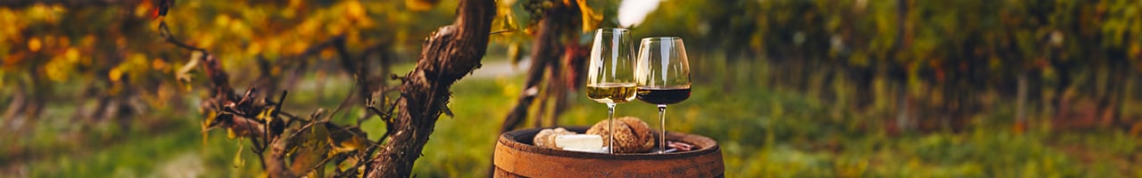 Alkoholfrei_Alkoholarm Banner schmal.jpg