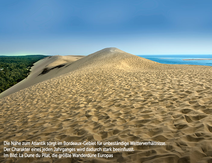 Wüste_703x541.jpg