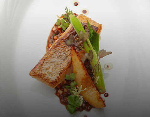 Zander auf Linsen mit Kräutersalat