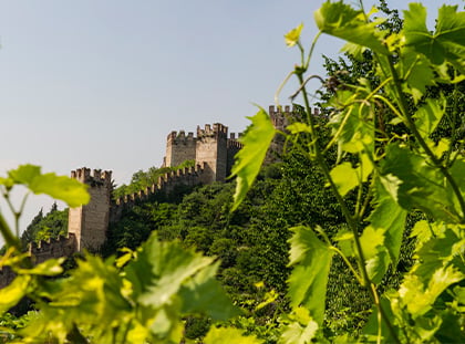 Rocca-Alata-Winzerbild-NEU.jpg