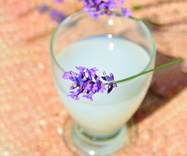 Kräuter Cocktails