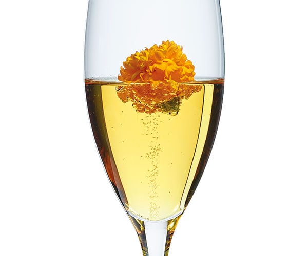 Apricot-Sparkle-600x500.jpg