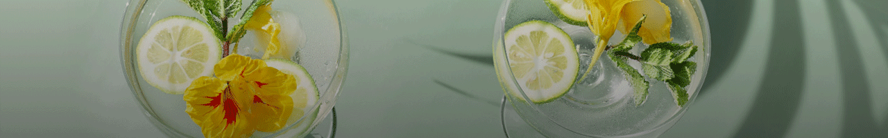 Aperitif-Banner-zu-CS.gif