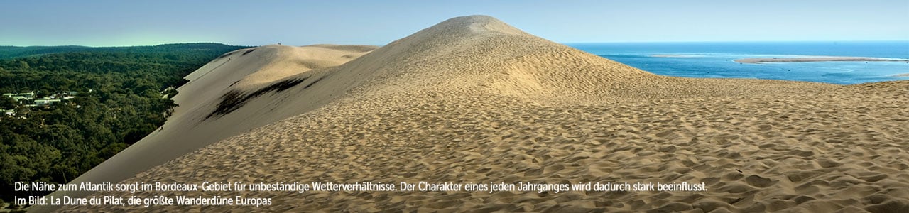 Wüste_1280x300.jpg