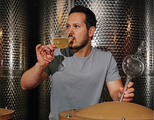 Raw Wine: Rohdiamanten zum Entdecken