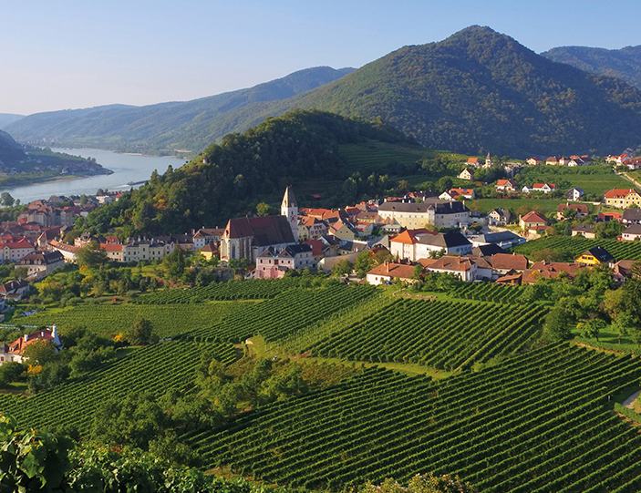 Landschaft Niederösterreich 