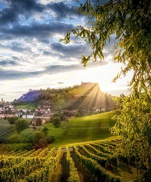 Schilcherland_500x600.jpg
