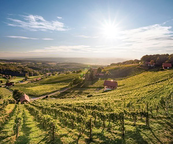 Schwalbenhimmel_600x500.jpg
