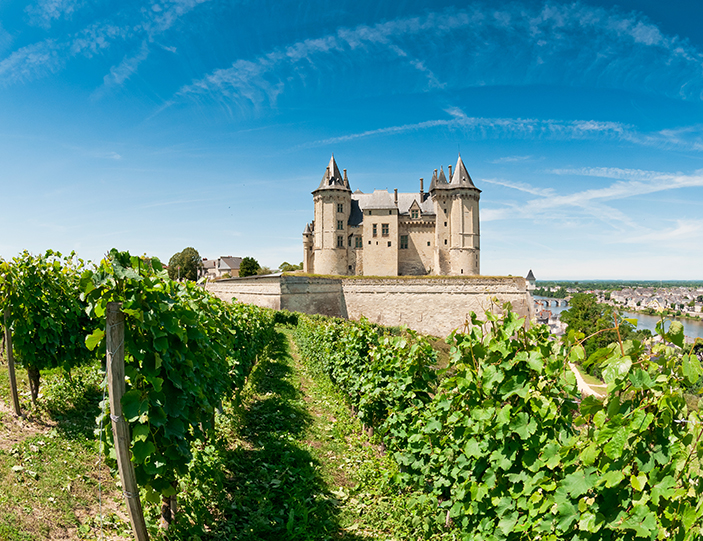 Landschaftsbild-Loiretal_703x541.jpg