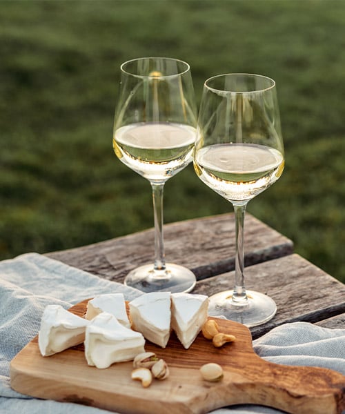 Sauvignon-Bild-1.jpg