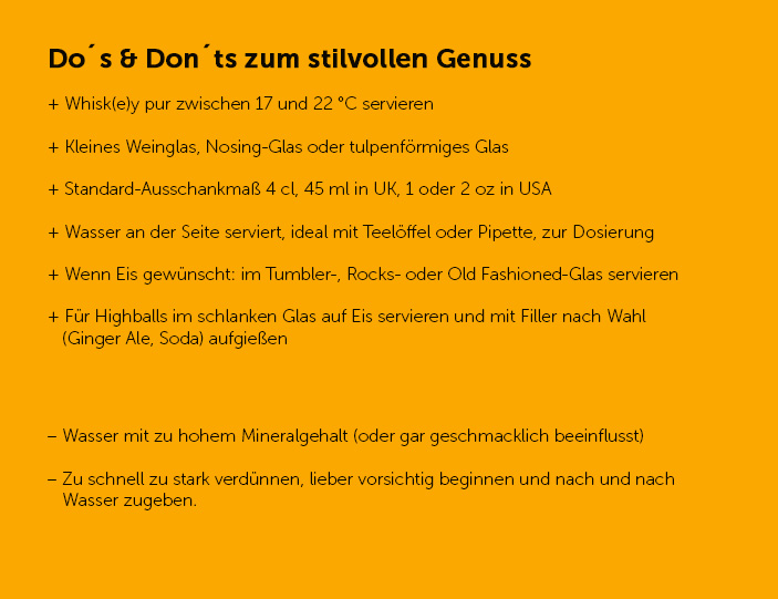 Dos-and-Donts-stilvoller-Whisky_703x541.jpg