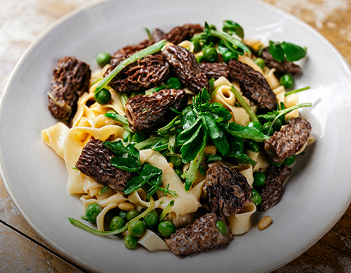 Morchelpasta mit Erbsen