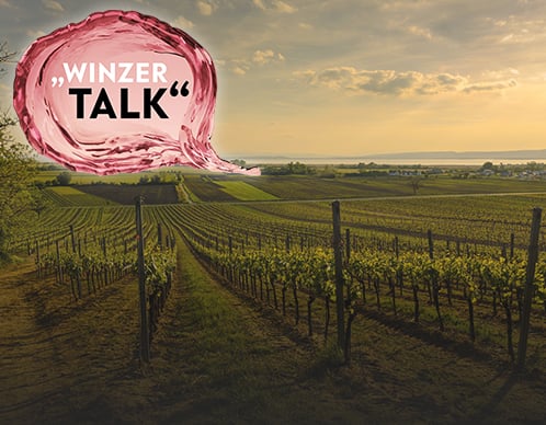 Unser Winzertalk-Archiv