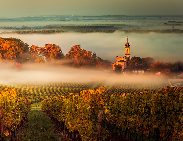 Header_703x541.jpg