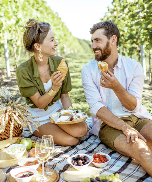 Picknick_500x600.jpg