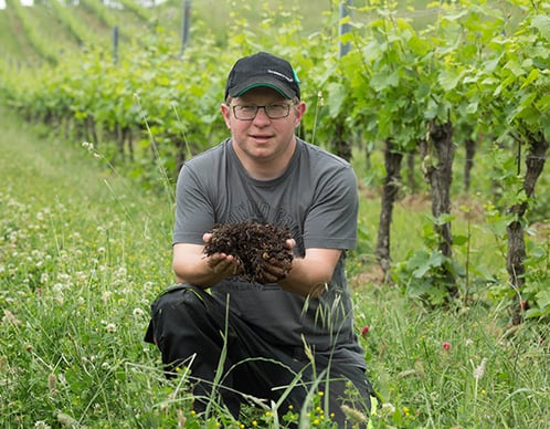 Weinrieder Herstellerseite.jpg