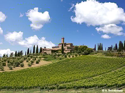 Banfi_420x311.jpg