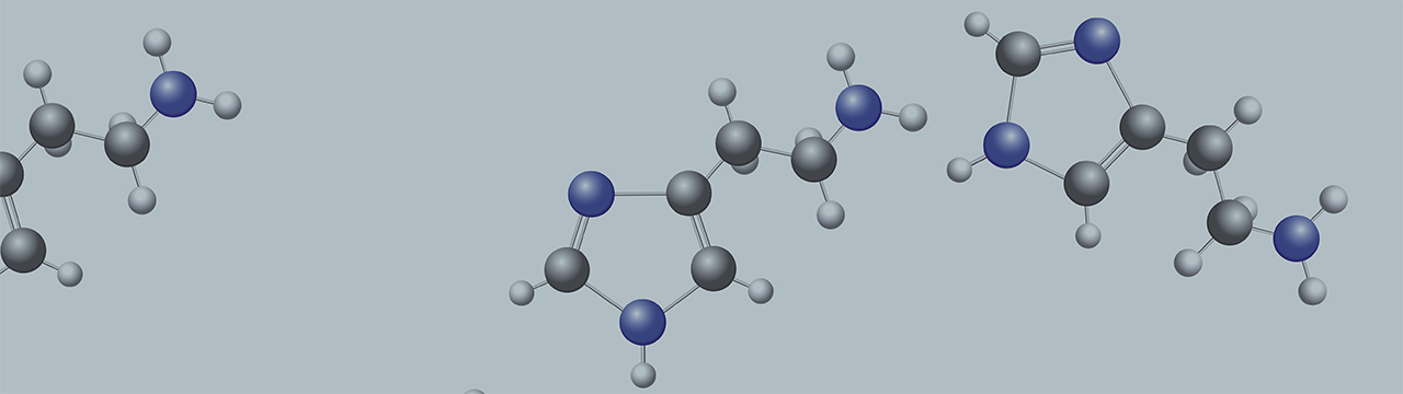 Histamin_1280x360.jpg Histamin_1280x360.jpg