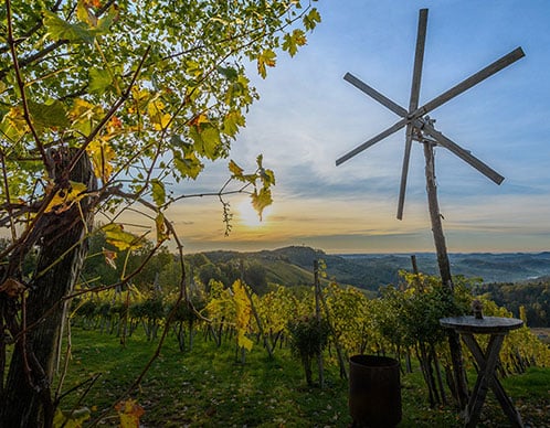 Genussreise durch die Steiermark