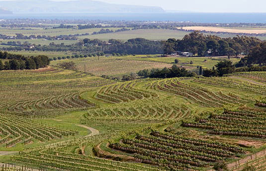Weine aus Australien