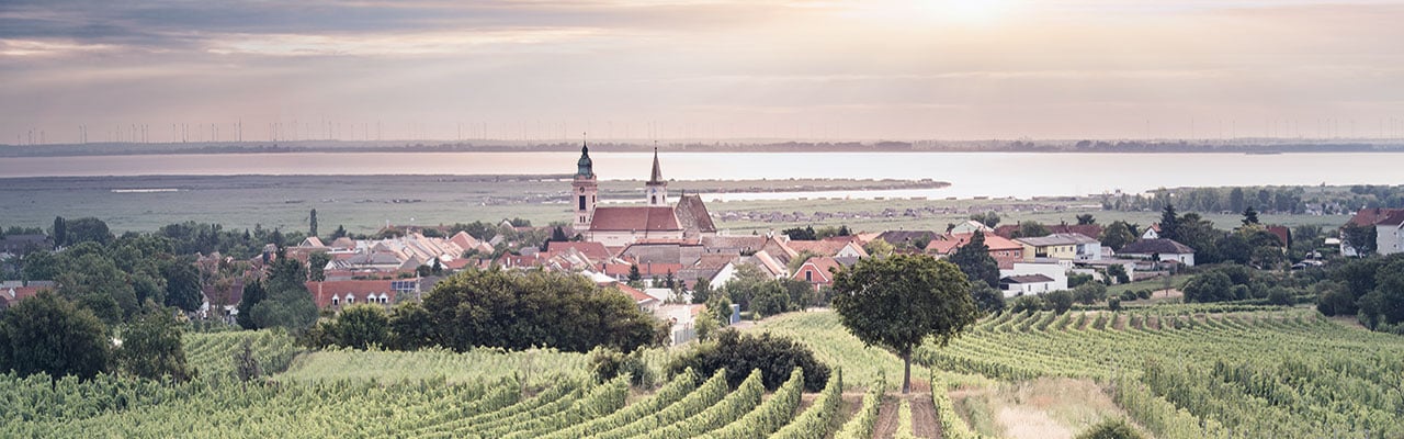 Eingebettet in das Weinbaugebiet Leithaberg, liegt am Westufer des Neusiedler Sees der traditionsreiche Weinort Rust. Hier entstehen mineralische rote und weiße Leithaberg-DAC-Weine.