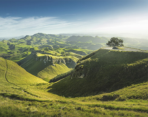 Unser Rotweinsortiment aus Neuseeland