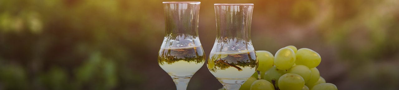 Grappa_1280x290.jpg Grappa_1280x290.jpg