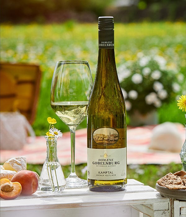 Sommerweinsieger Weiß: Domäne Gobelsburg Grüner Veltliner 2019 