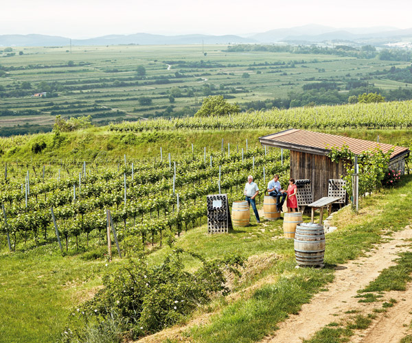 Schaumweinmap_Steininger_600x500.jpg