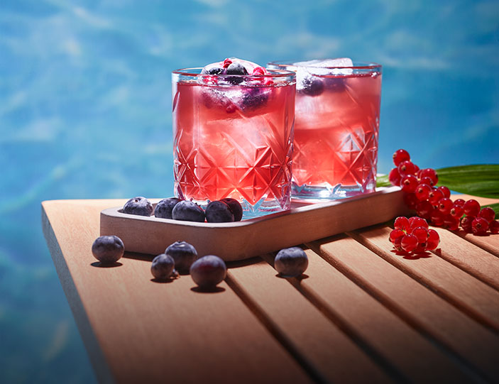 Gin Cocktails für den Sommer