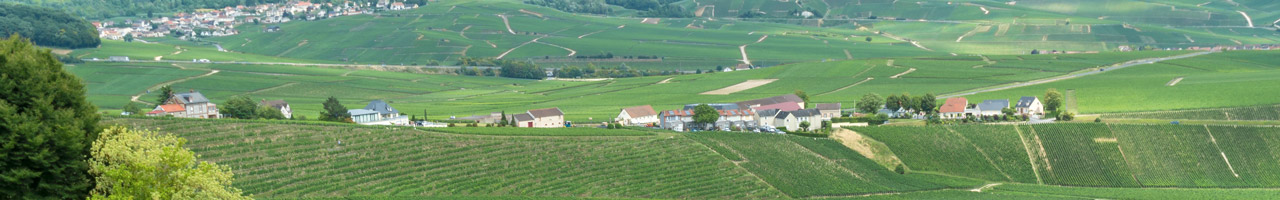 BenchmarkFrankreich_Champagne_1280x300.jpg