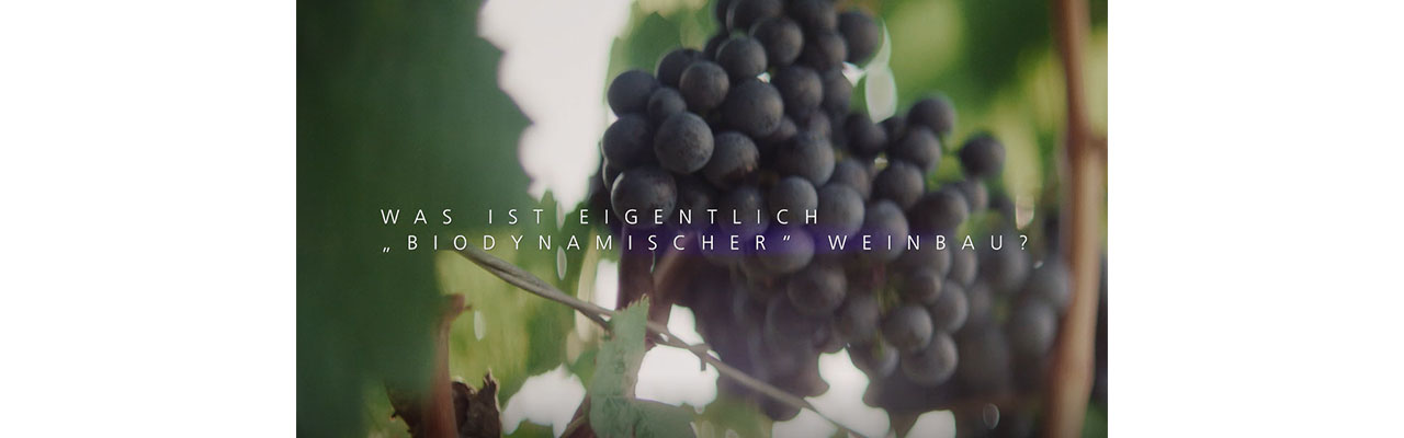 Biodynamie-Video-Thumbnail.jpg