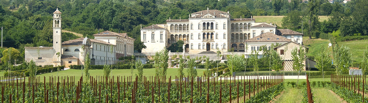 Journal_Prickelnde-Leitkultur_1280x360.jpg