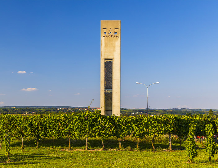 veltliner_703x541.jpg