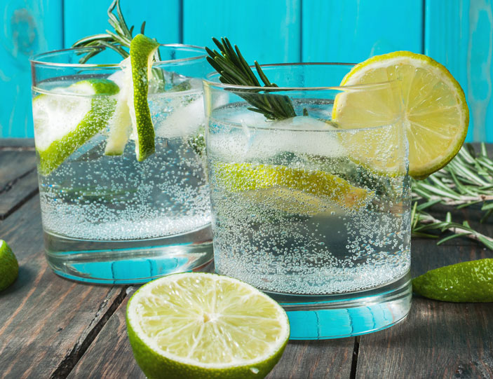 Der perfekte Gin & Tonic