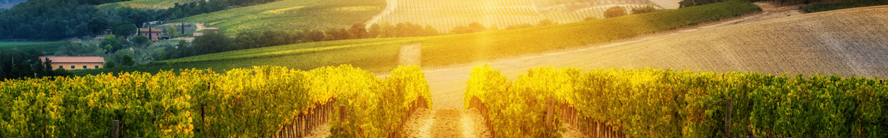 BenchmarkFrankreich_Bordeaux_1280x200.jpg