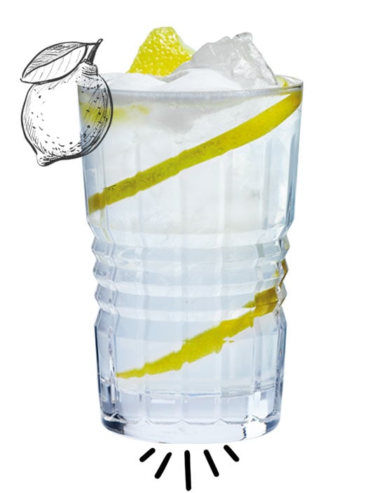 Gin-Fizz.jpg