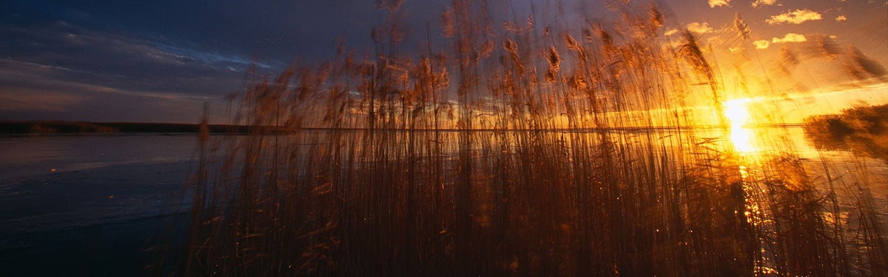 Canvas_Neusiedlersee_1280x400-Burgenland.jpg