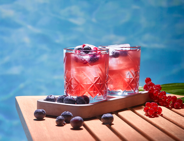 Fruchtige Gin Cocktails für den Sommer