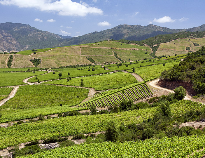 Headerbanner_Chile_mobil.jpg