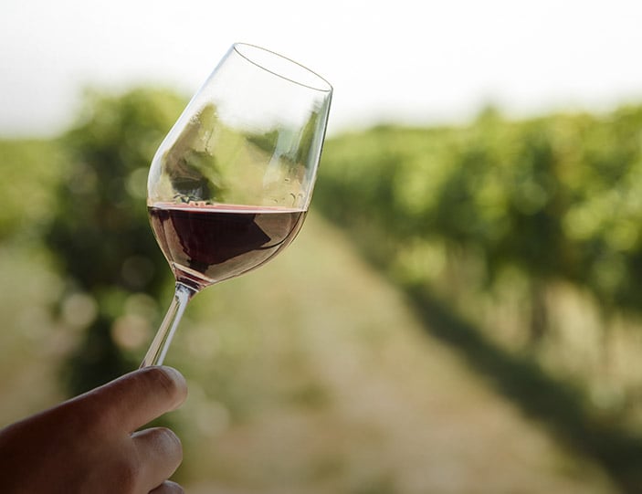 Histamin im Wein