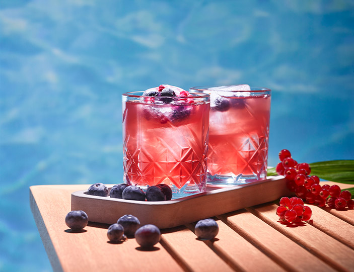 Gin Cocktails für den Sommer